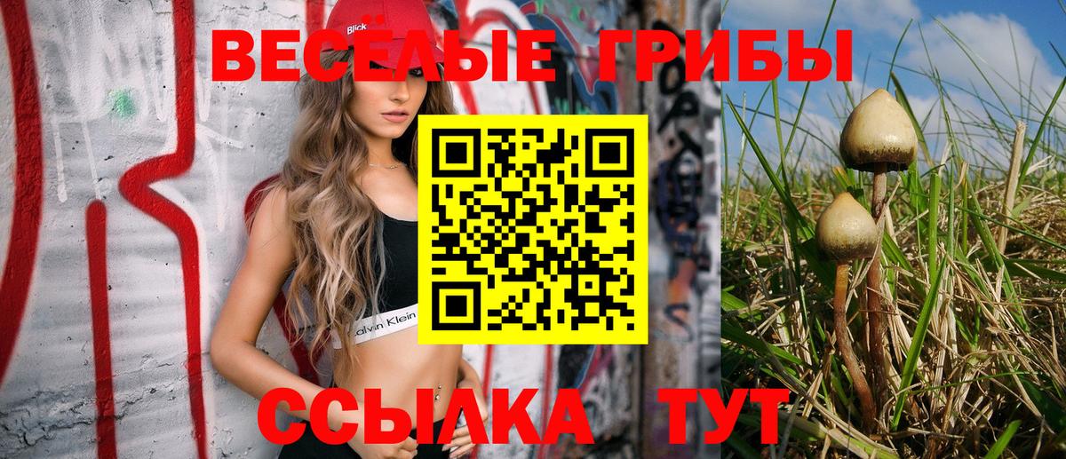 Псилоцибиновые грибы Psilocybe  Вход с VPN  Кстово  Галлюциногенные грибы прущие грибы 
