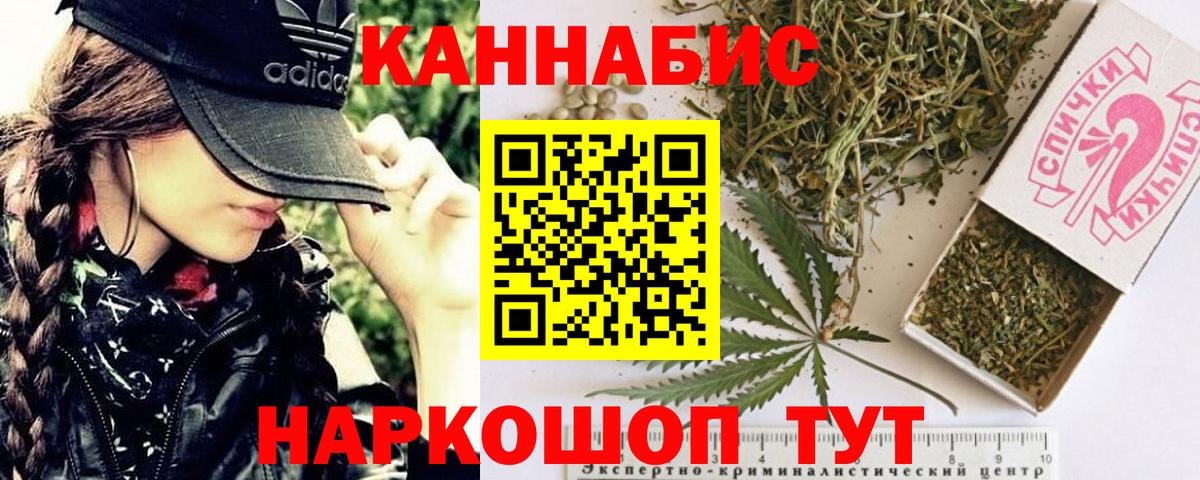 Бошки Шишки план Кстово